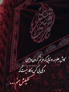 یا ابوالفضل العباس🕊️😌