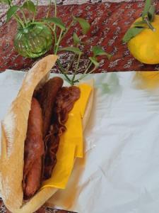 داخلی؛2بامدادآدینه؛به هنگامه ی دیدن فیلم تمام وسوسه های زمین