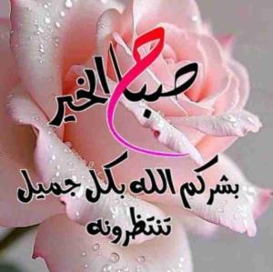 سلام علیکم جمعه مبارکه .. اللهم صل علی محمد و آل محمد و عجل فرجهم 🍁🌺🌺🌺🌺🌺🌺🍁