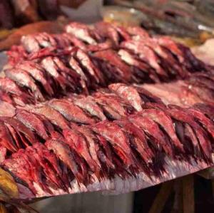 اینم ماهی شور گیلان 