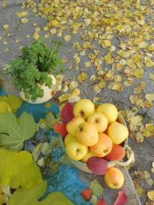 پاییز فصلیه ک از روز اول خودشو نشون میده.