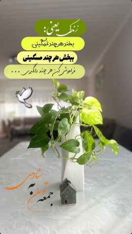 جمعه تون شاد... 🤞🕊🍁