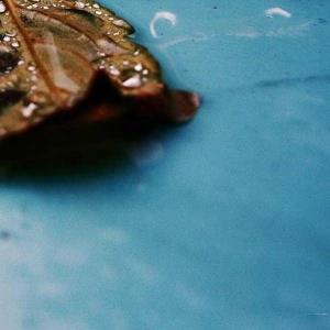  🄿🅄🅉🅉🄻🄴 1️⃣