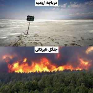 محیط زیست هم، نیست کردن