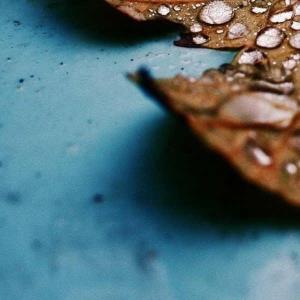  🄿🅄🅉🅉🄻🄴 3️⃣