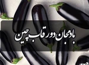 ضرب المثل ایرانی