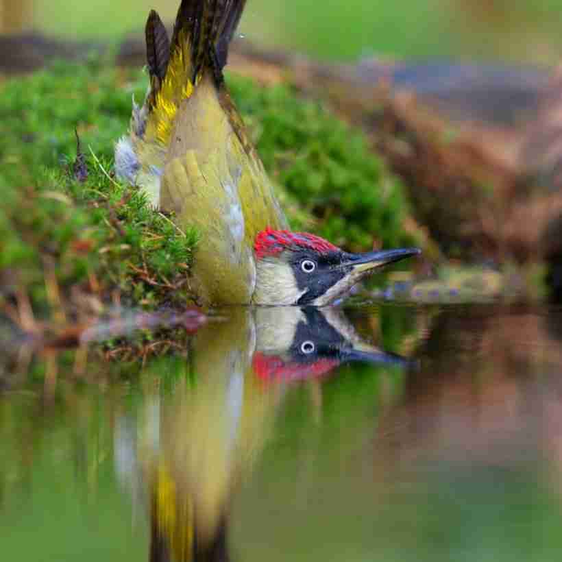 سلام علیکم....خوبان خبری صبح زیبای تان بخیر ونیک ....نیک فرجام باشید انشاالله 