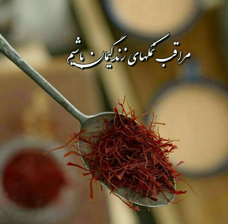 نمکدان را که پر می کنی 
توجهی 
به ریختن نمکها نداری … 

اما 