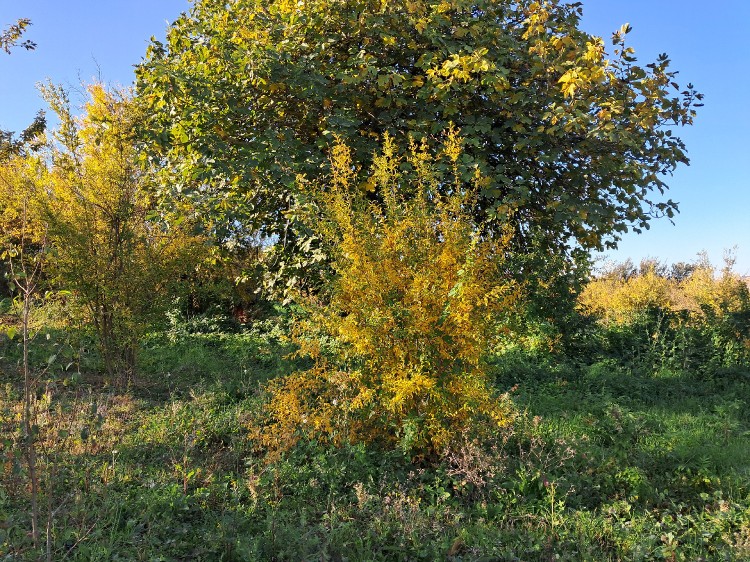 تقدیم نگاهتان 🌹🌹🌹