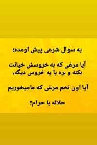 لطفا‌جواب😇