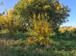 تقدیم نگاهتان 🌹🌹🌹