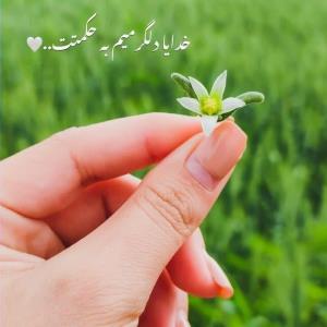 خدایا دلگرمیم به حکمتت🌹