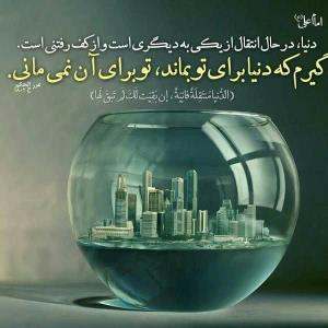 2️⃣6️⃣8️⃣