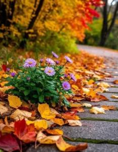 دلتون شاد دوستانم⚘🦋⚘🦋