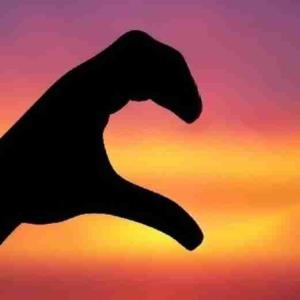 عشق یکطرفه...👇


آمدم با بوسه بیدارش کنم           رویم نَشد*
از هوای عشق سرشارش کنم        رویم نَشد *
در دلم گفتم من عاشق پیشه       چشم توام
خواستم آهسته تکرارش کنم        رویم نَشد*
گر چه میدانـستم او هـرگز           نمیخاهد مرا
دل زدم دریا که اصرارش کنم        رویم نَشد ♡.......