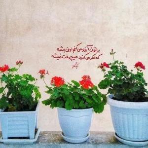 براتون آرزو میکنم اونی بشه 
که فکر می کنید هیچوقت نمیشه

