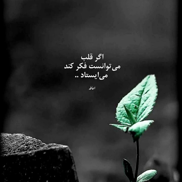 سلام دوستان 