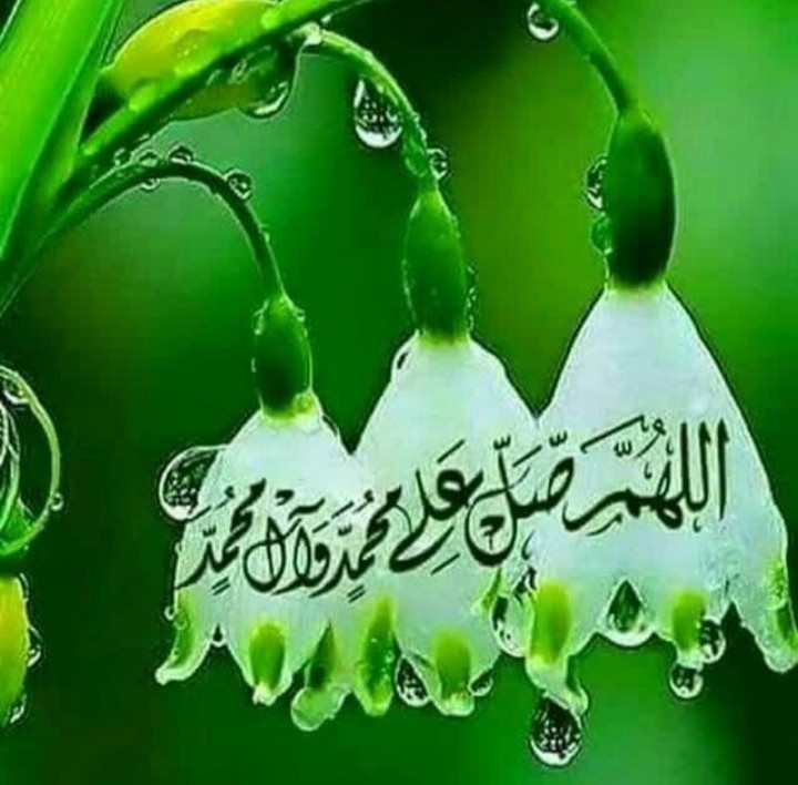    🌿الّلهُمَّ صَلِّ عَلَے مُحَمَّدٍ وَآلِ مُحَمَّدٍ 🌿