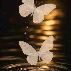 بهترین آرزویی
که میتونم امشب 💫
براتون داشته باشم
اینه که 🍃 🌸
خدا آنقدر عاشقانه نگاهتون کنه
که حس کنید مهم ترین و
خوشبخت ترین موجود
کائنات هستید  
آرامش شب، 💫 🌸
قسمت دل مهربونتون. 
شب زیباتون بخیر و 
سرشار از آرامش خدا ❤️
●☆༊࿐𖡹💞𖡹࿐༊☆●