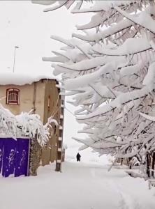 اونا میگن،؛،یه سال هایی بود.روزها.برف میبارید