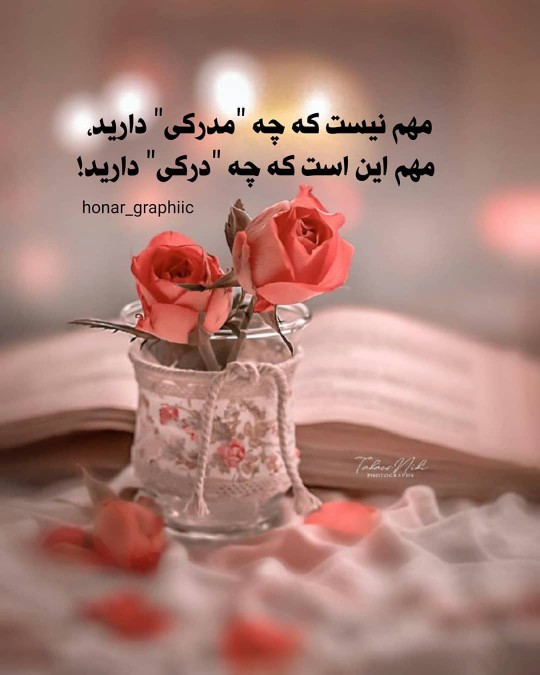 سلام شبتون بخیر ✨🌱