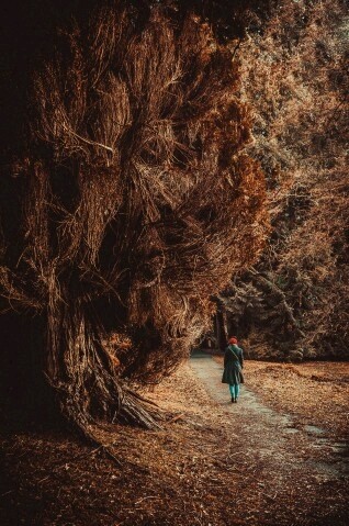دیگه چیزی برا از دست دادن ندارم !!!
