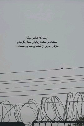 لعنت بر این دنیای بی رحم