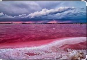 تصویری زیبا از دریاچه مهارلو شیراز 