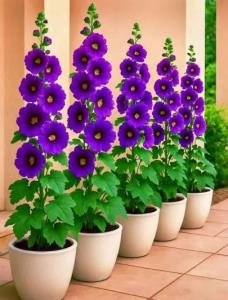 تقدیم به دوستانم ⚘🦋⚘🦋