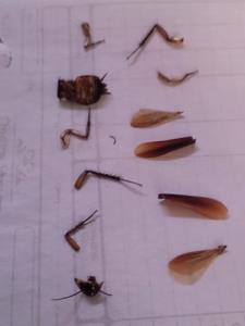 کمک کنین دوباره سرهم شه😂🤣😂✈️