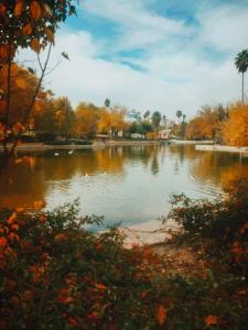 پاییز شیراز...❤️🍂