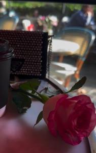 سلام گلای این خونه عصر پاییزتون بخیر 🍂🍁بو دنیانی اونودرام 