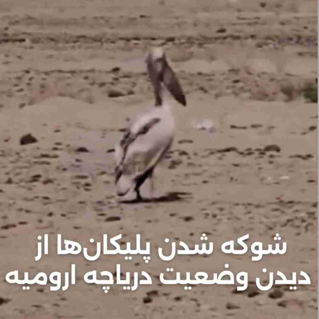 ما هم همینیم بخدا !!!!!!💔