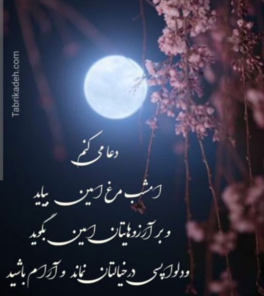 💫آرامش آسمان 
✨شب سهم قلبتان باشد

💫 و نورستاره ها روشنی ب
