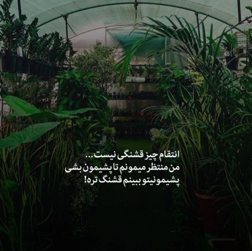 انتقام چیز خوبی نیست 