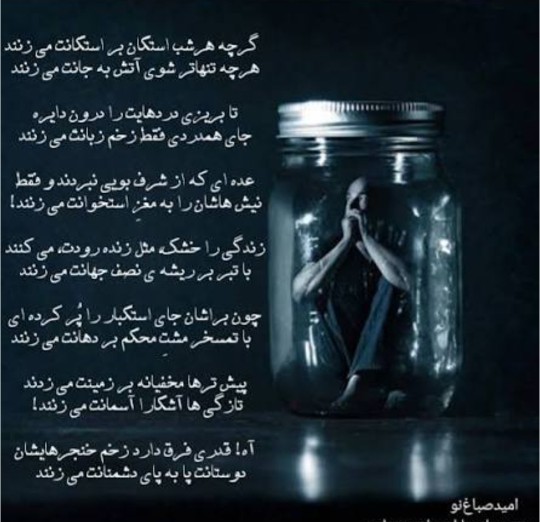 شعر 