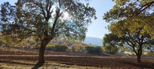 سلام شبتون خوش 