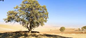 زندگیتون پراز عشق وارامش