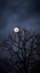 شبتون به نور خدا روشن