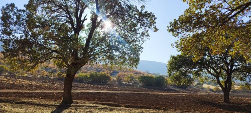 سلام شبتون خوش 