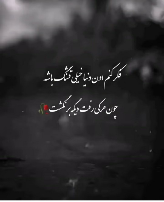 روحشان شاد 🖤🖤🖤