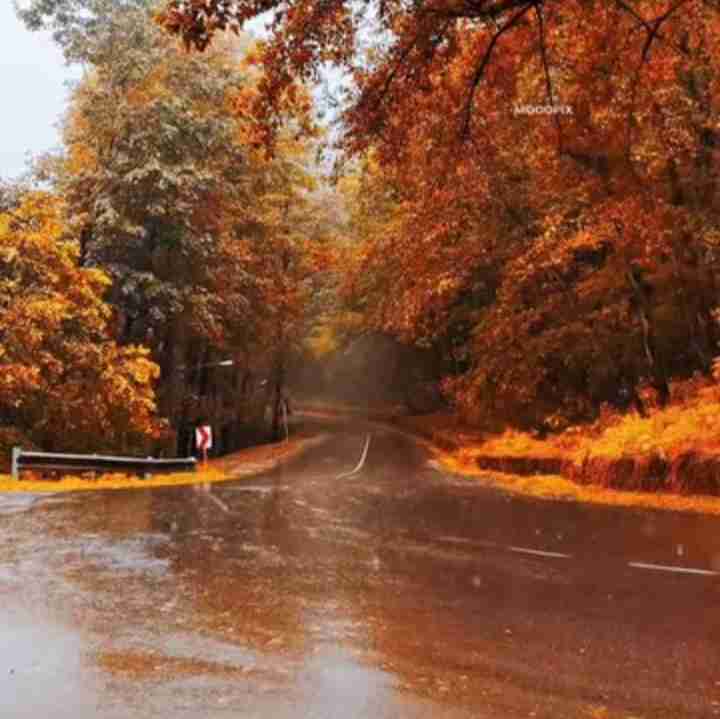 پاییز و باران 