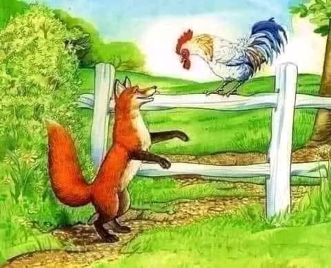 اینم روباه و خروس😂😂😂😂