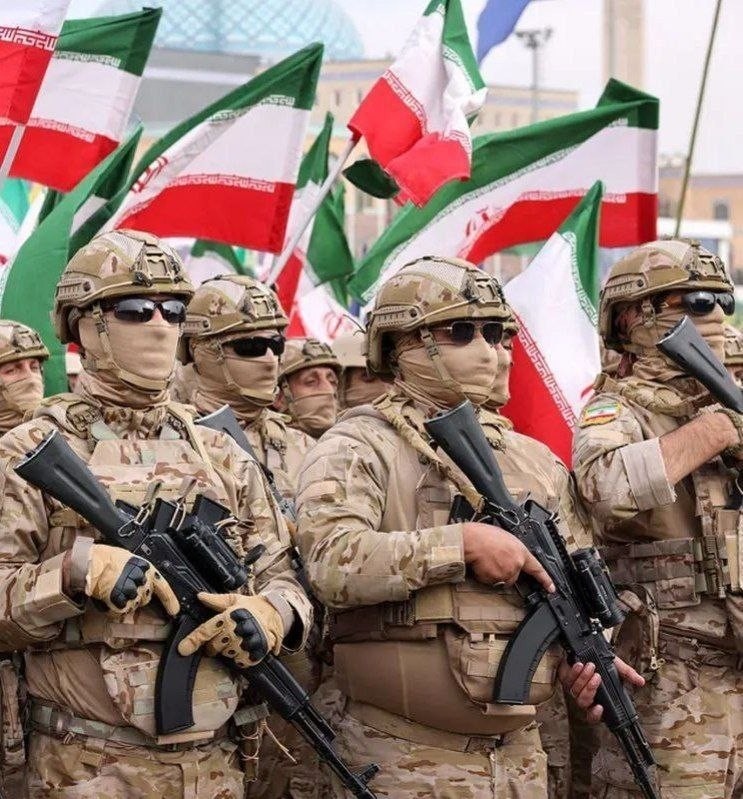 یکم شکم‌ ورزیده‌تر بهتر نیست؟