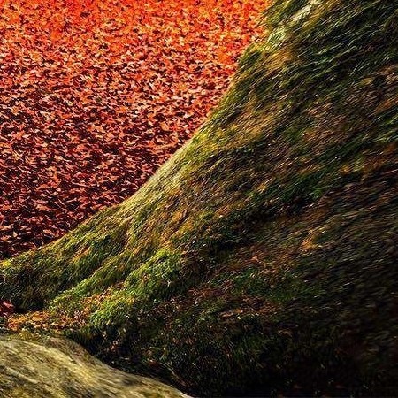 1️⃣  سلام🙋‍♂️ صبح جمعه‌تون بخیر 🌾