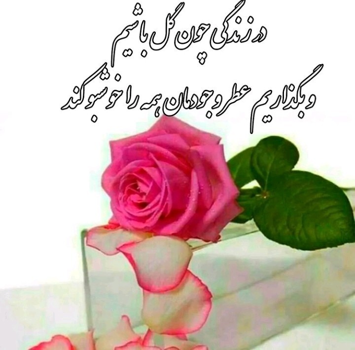 شبتون خوش گلهای دوست داشتنی👇 🌹🌹