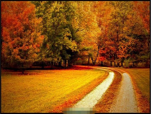 مثل پاییز
نگرانی هایت را از برگ های درختان آویزان کن