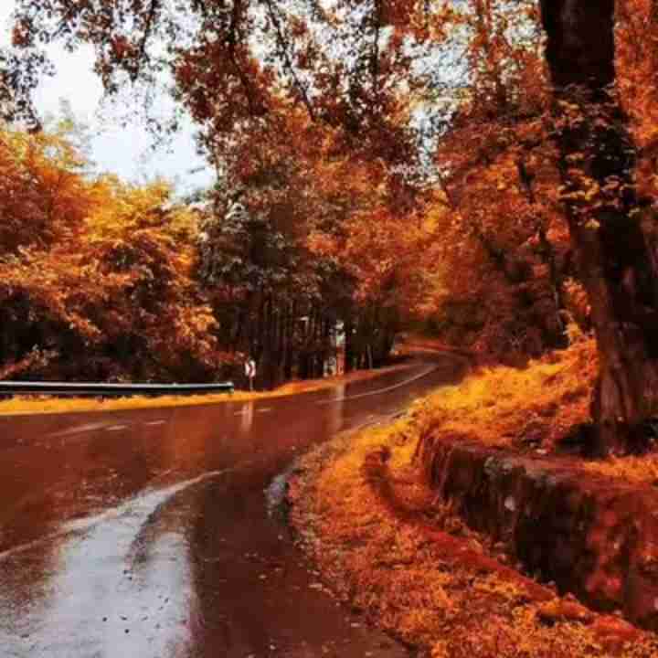 جاده بارونی پاییزی 