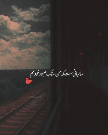 سکوت ودیگر هیچ