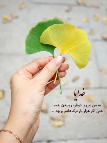 آمین🤲🏻🤲🏻